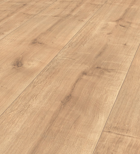 Long Island Oak 8456